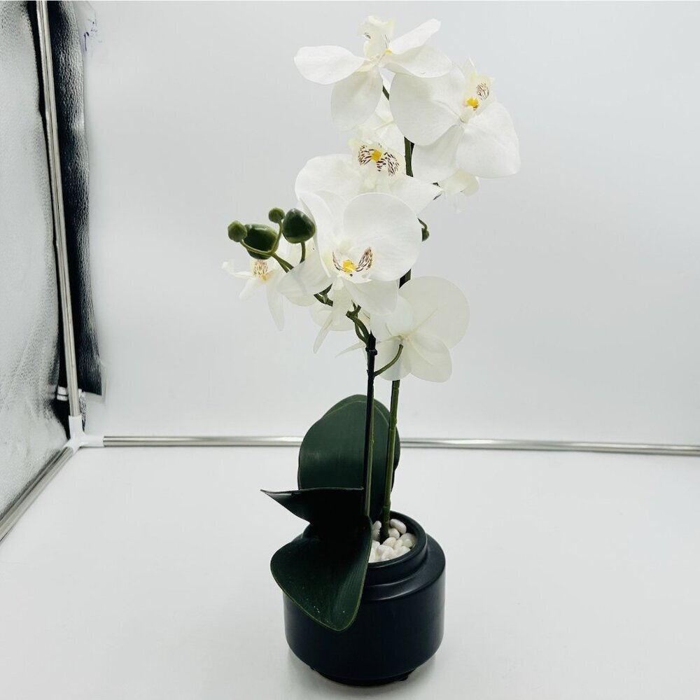 White Phalaenopsis 19" Orchid Artificial Flowers with Black Vase Arrangement - Picture 6 of 9